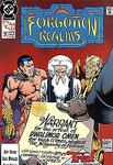 Forgotten Realms (1989 series) #13 (DC Comics) - фото
