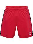 Шорты Hummel Hmlauthentic Multisport Herren, цвет true red - фото
