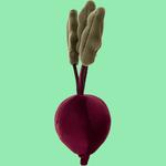 Плюшевая игрушка vivacious vegetable beetroot JELLYCAT - фото 4