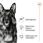 Корм для взрослых собак крупных пород Royal Canin Maxi 4 кг - фото 4