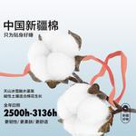 LUOLAI HOME Простыня, 200x230 см - фото 6