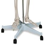 Яго, Скелет человека, 181,5 см. Jago - фото 8