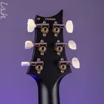 PRS Swamp Ash Special Black Rainbow Hollowflake - фото 11