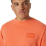 Лонгслив Helly Hansen Skog Graphic Tee, оранжевый - фото 6