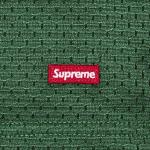 Шорты Supreme Small Box Baggy Mesh Short, зеленый - фото 3