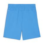 Шорты Puma мужские teamGOAL 705752 - фото 2