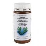 Бладдеррак (180 капсул) Kräuterhaus Sanct Bernhard KG - фото 2