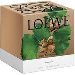 Свечи и восковые пластины LOEWE, черный - фото 3