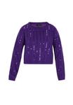 Тонкий вязаный свитер faina Sweater, цвет violet - фото