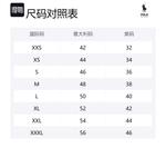 Свитшот мужской SS23 Polo Ralph Lauren, мультиколор - фото 2