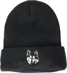 Кепка Polar Husky Winter, черный - фото