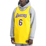 Майка Nike x NBA LA Lakers Jerseys 'LeBron James 6', желтый - фото 3