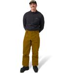 Брюки Flylow Compound GORE-TEX 3L Flylow, Rye - фото 3