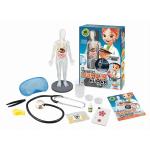 Буки Человеческое тело Buki France - фото