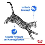 Корм для домашних стерилизованных кошек в соусе Royal Canin, 24 х 85 г - фото 4