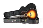 Breedlove Legacy Concerto Винтажный Sunburst E - фото 22