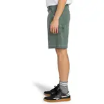 Мужские бермуды Carpenter 12.6" Element, зеленый - фото 2