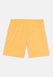 Пляжные шорты SWIM BOYS MEDIUM LENGTH Puma, оранжевый - фото 2