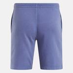 Потертые шорты Identity Reebok, синий - фото 5