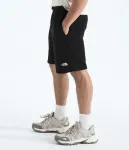 Мужские шорты Evolution Simple Dome The North Face, TNF Black - фото 4