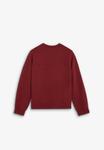 Толстовка Scalpers Sweatshirt, Dark Red/Red - фото 6