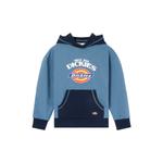 Детский свитшот Dickies, белый/хаки - фото 7