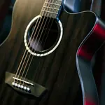 Washburn Deep Forest Ebony ACE - фото 8