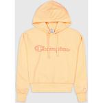 Толстовка с капюшоном Champion, цвет pen - фото