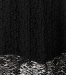 Aniston SELECTED Юбка в черном цвете - фото 6