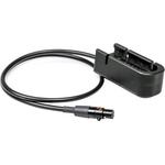 Remote Audio Remote Audio BDS Input Cable for Hi-Q BDSHQINV2 - фото