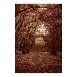 Фреска Artgeist Fulfilled Dreams, коричневый - фото 3