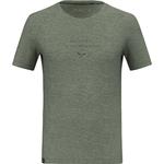 Мужская футболка Eagle EITD AM Salewa, серый - фото