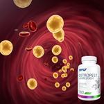 SFD, Расторопша + артишок, 180 таб. - фото 4