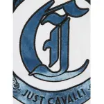 Футболка и поло для мужчин Just Cavalli, белый - фото 2