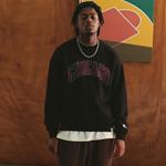 Свитшот унисекс черный STARTER - фото 4