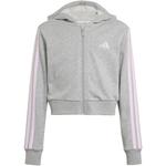 Детская толстовка с капюшоном Essentials Adidas, мультиколор - фото