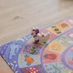 Гусиные бега, настольная игра, Лудаттика Ludattica - фото 4