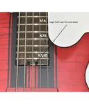 Бас-гитара Schecter C-5 GT, цвет Trans Red Satin - фото 9