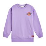 Детская толстовка Dickies, черная - фото 4