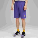 NBA Повседневные шорты Unisex Purple - фото 10