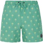 Плавки шорты prtalvis Protest, зеленый - фото