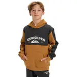 Детская толстовка Knowledge AreaYouth Quiksilver, коричневый - фото 3