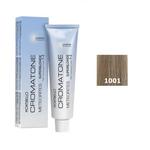 Краска №1001 60мл Montibello Montibello Cromatone METEORITES - фото