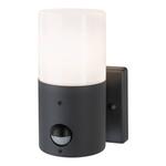 Настенный светильник Paulmann Tubs - фото