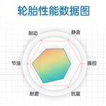 Pirelli Шины 275/40R20 106W BMW X6 P Zero PZ4 Run Flat New Sports Handling Low Pressure Retainable Type - фото 5