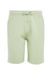 Шорты Threadbare THBFERGIE, Light Green - фото 5