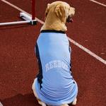 Одежда для собак и дождевики Reebok, синий - фото 7