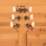 Электрогитара PRS Custom 24 - Carroll Blue - фото 6