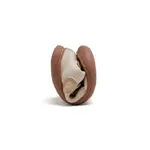 Кроссовки Gioseppo Poygan, бежевый - фото 4