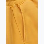 Мужские шорты Pitbull Lancaster 2 - фото 5